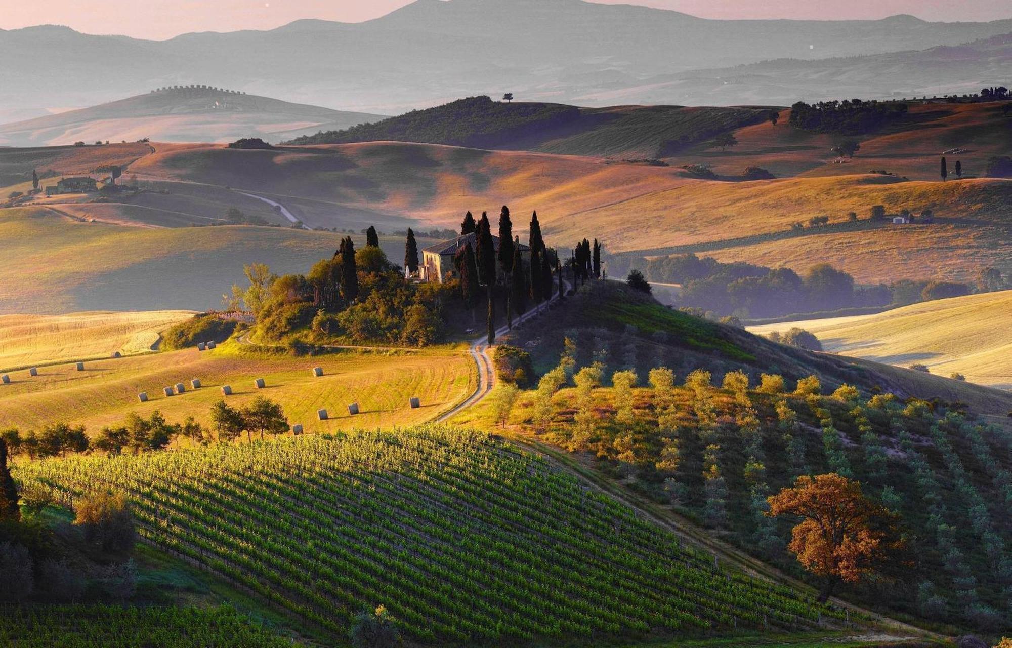 La Campanina-Nel Cuore Di Siena E Della Contrada Exteriör bild